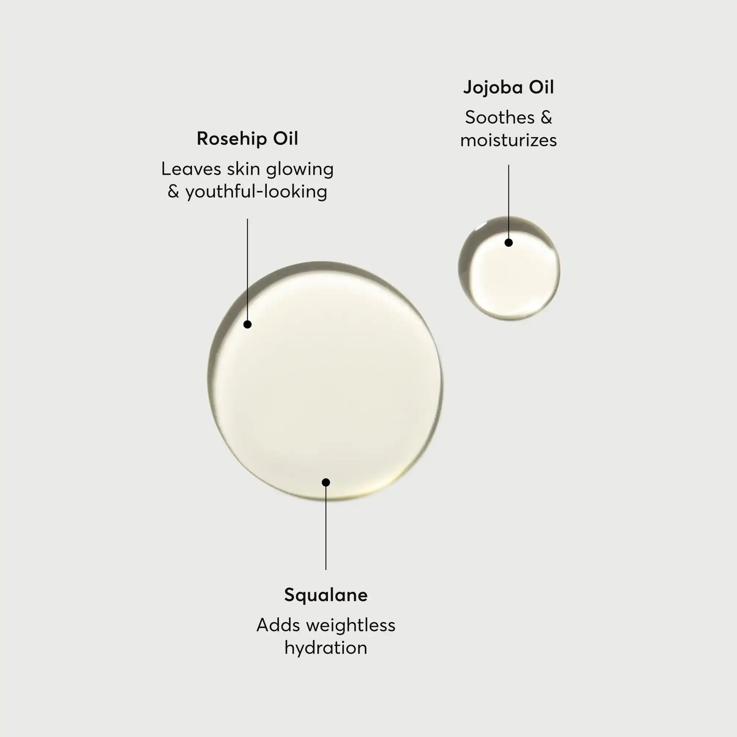 the-glow-getter-body-oil-m4 NATR-10115-Alt-Images-The-Glow-Getter-Body-Oil-01.webp