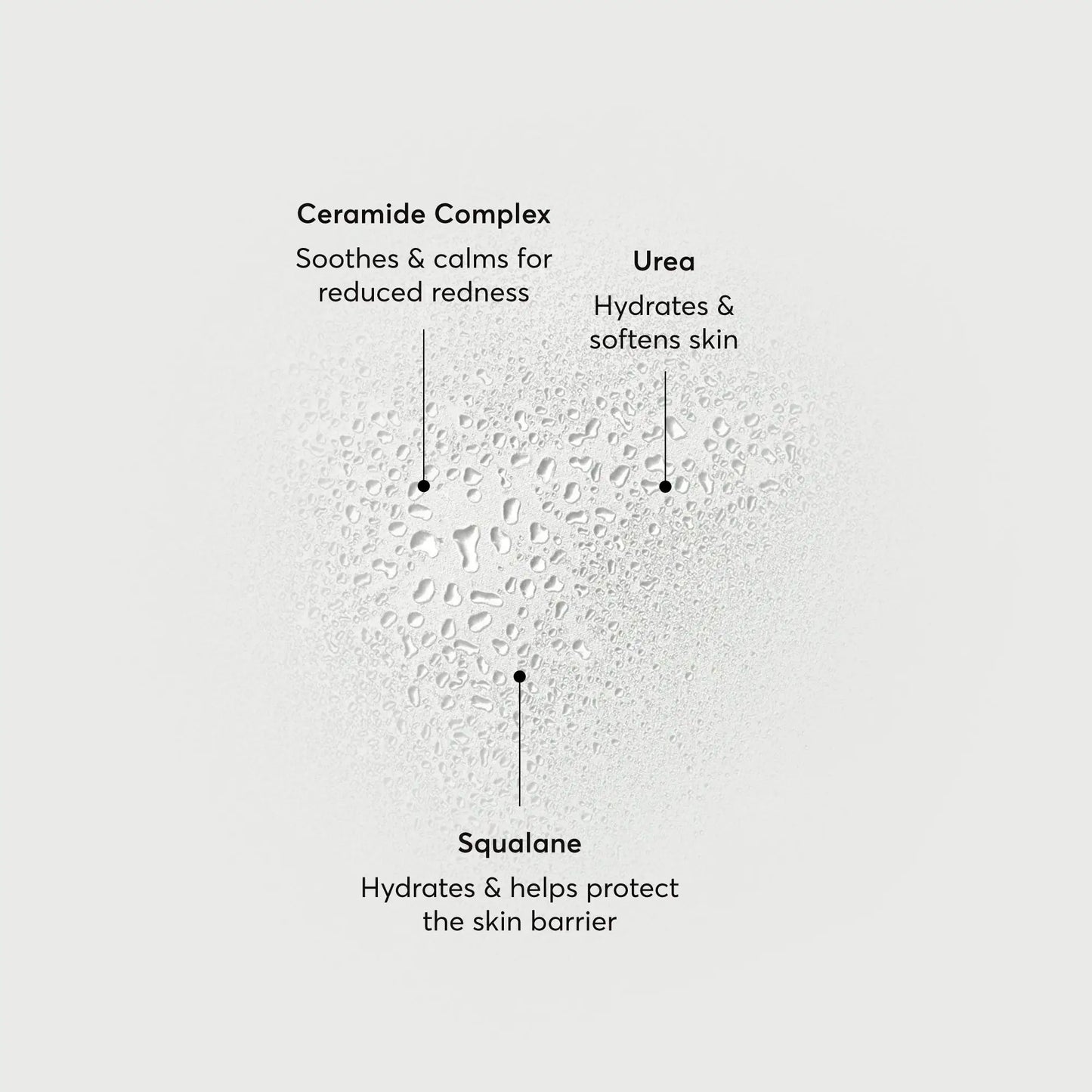 barrier-bounce-bi-phase-mist-i5 NATR-10167-Alt-Images-Barrier-Bounce-Bi-Phase-Toner-Mist_01.webp