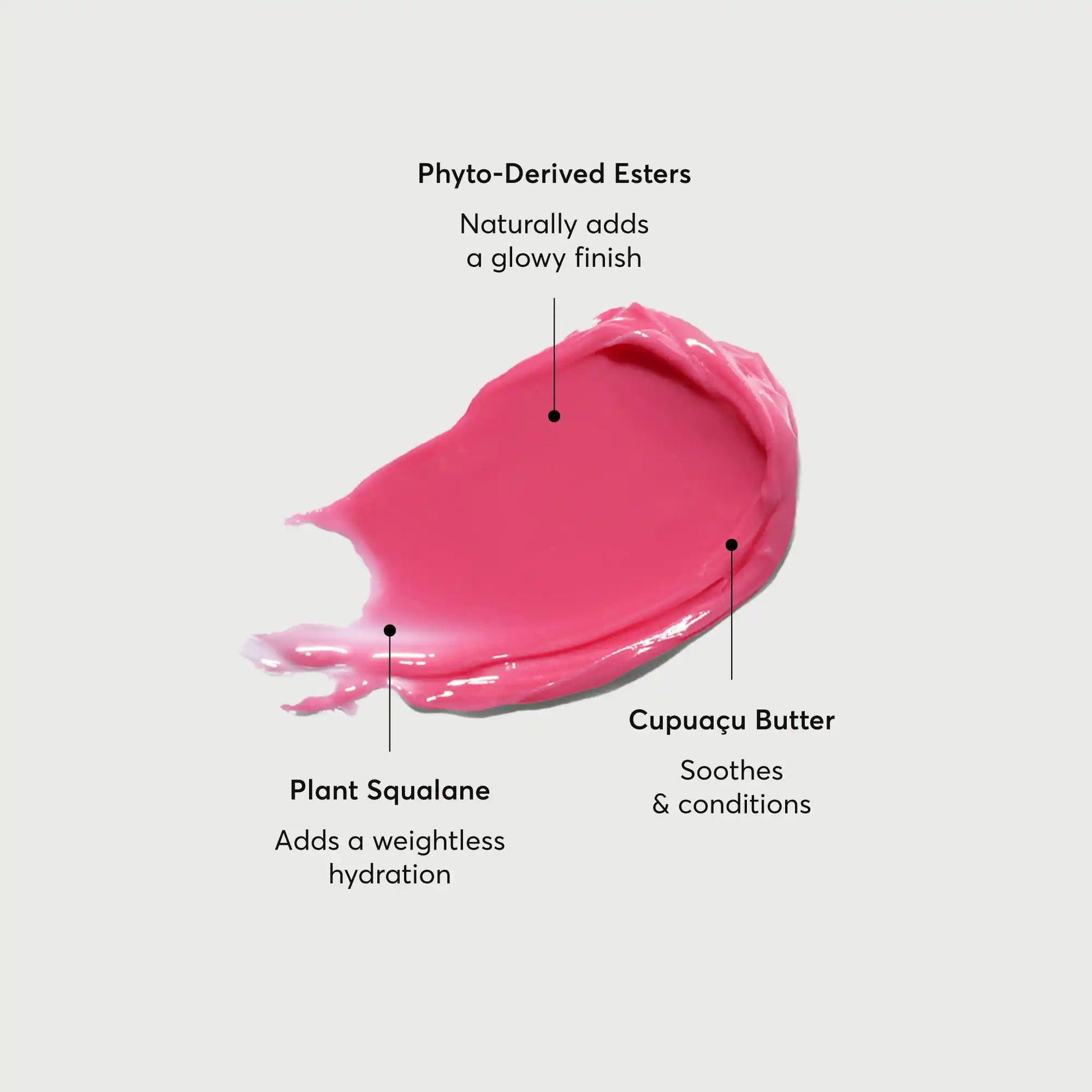 phyto-glow-lip-balm-camellia-i3 NATR-60075-Alt-Images-Phyto-Glow-Lip-Balm-Camellia-01.webp